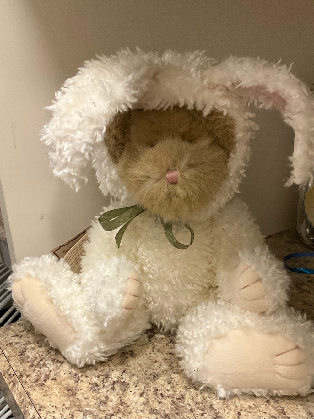 Boyds Bear in Bunny Costume